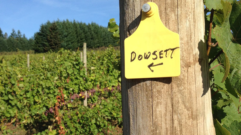 Dowsett Family Wines