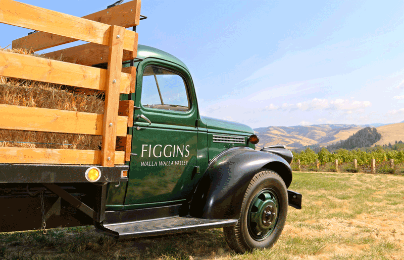 Figgins Family Wine Estates
